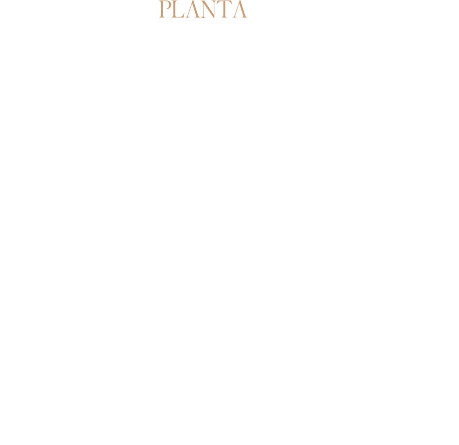 Planta del modelo Mediterránea, 1 piso 179 m²